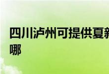 四川瀘州可提供夏新平板電視維修服務(wù)地址在哪