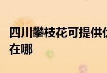 四川攀枝花可提供優(yōu)派平板電視維修服務地址在哪