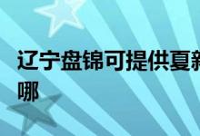 遼寧盤錦可提供夏新平板電視維修服務(wù)地址在哪