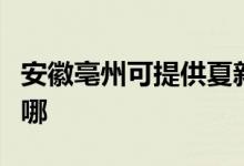 安徽亳州可提供夏新平板電視維修服務地址在哪