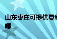 山東棗莊可提供夏新平板電視維修服務(wù)地址在哪