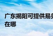 廣東揭陽可提供易美遜平板電視維修服務地址在哪