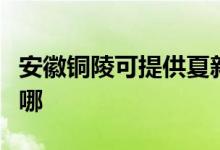 安徽銅陵可提供夏新平板電視維修服務地址在哪