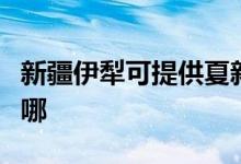 新疆伊犁可提供夏新平板電視維修服務(wù)地址在哪