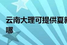 云南大理可提供夏新平板電視維修服務(wù)地址在哪