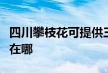 四川攀枝花可提供三洋平板電視維修服務(wù)地址在哪