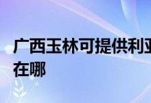 廣西玉林可提供利亞德平板電視維修服務(wù)地址在哪