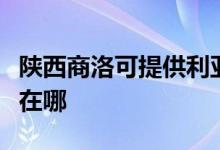 陜西商洛可提供利亞德平板電視維修服務(wù)地址在哪