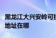 黑龍江大興安嶺可提供康冠平板電視維修服務地址在哪