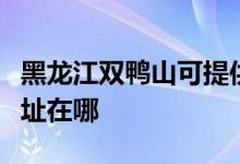 黑龍江雙鴨山可提供康冠平板電視維修服務地址在哪