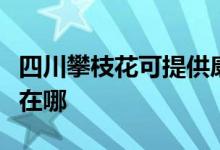 四川攀枝花可提供康冠平板電視維修服務(wù)地址在哪