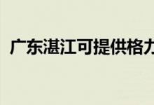 廣東湛江可提供格力空調(diào)維修服務(wù)地址在哪