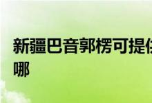 新疆巴音郭楞可提供格力空調(diào)維修服務(wù)地址在哪