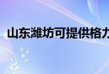 山東濰坊可提供格力空調(diào)維修服務(wù)地址在哪