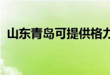 山東青島可提供格力空調(diào)維修服務(wù)地址在哪