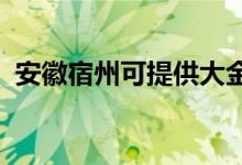 安徽宿州可提供大金空調(diào)維修服務(wù)地址在哪