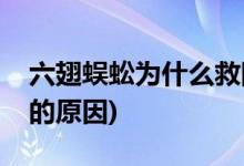 六翅蜈蚣為什么救陳玉樓(六翅蜈蚣救陳玉樓的原因)