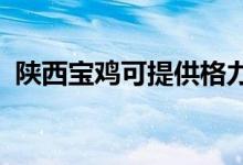 陜西寶雞可提供格力空調(diào)維修服務(wù)地址在哪