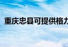 重慶忠縣可提供格力空調(diào)維修服務地址在哪