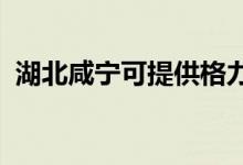 湖北咸寧可提供格力空調(diào)維修服務(wù)地址在哪