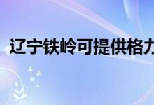 遼寧鐵嶺可提供格力空調(diào)維修服務(wù)地址在哪