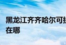 黑龍江齊齊哈爾可提供大金空調(diào)維修服務(wù)地址在哪