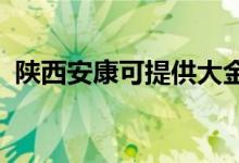 陜西安康可提供大金空調(diào)維修服務(wù)地址在哪