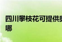 四川攀枝花可提供奧克斯空調(diào)維修服務(wù)地址在哪