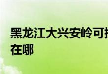 黑龍江大興安嶺可提供TCL空調(diào)維修服務(wù)地址在哪