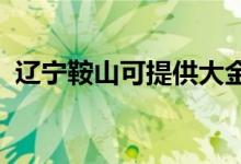 遼寧鞍山可提供大金空調(diào)維修服務(wù)地址在哪