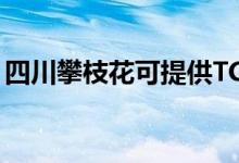 四川攀枝花可提供TCL空調(diào)維修服務(wù)地址在哪