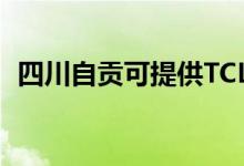 四川自貢可提供TCL空調(diào)維修服務(wù)地址在哪