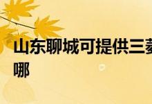 山東聊城可提供三菱電機空調(diào)維修服務地址在哪