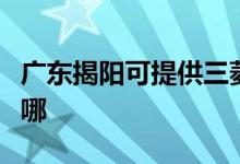 廣東揭陽(yáng)可提供三菱電機(jī)空調(diào)維修服務(wù)地址在哪