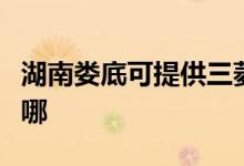 湖南婁底可提供三菱電機空調(diào)維修服務(wù)地址在哪