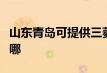 山東青島可提供三菱電機空調(diào)維修服務地址在哪