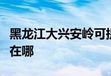 黑龍江大興安嶺可提供科龍空調(diào)維修服務(wù)地址在哪