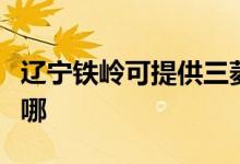 遼寧鐵嶺可提供三菱電機空調(diào)維修服務地址在哪