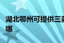 湖北鄂州可提供三菱電機空調(diào)維修服務(wù)地址在哪