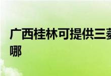 廣西桂林可提供三菱電機(jī)空調(diào)維修服務(wù)地址在哪