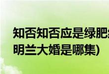 知否知否應(yīng)是綠肥紅瘦第幾集明蘭出嫁(知否明蘭大婚是哪集)