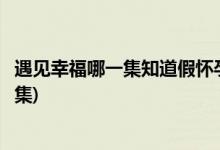 遇見(jiàn)幸福哪一集知道假懷孕(遇見(jiàn)幸福邵邵假懷孕被發(fā)現(xiàn)第幾集)