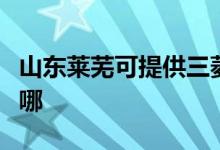 山東萊蕪可提供三菱電機空調(diào)維修服務地址在哪