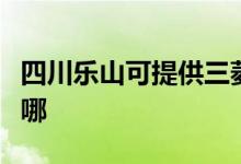 四川樂(lè)山可提供三菱重工空調(diào)維修服務(wù)地址在哪