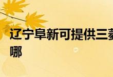 遼寧阜新可提供三菱重工空調(diào)維修服務(wù)地址在哪