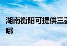 湖南衡陽可提供三菱重工空調(diào)維修服務(wù)地址在哪