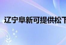 遼寧阜新可提供松下空調(diào)維修服務(wù)地址在哪