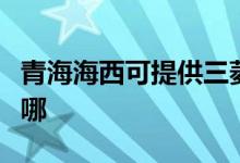 青海海西可提供三菱重工空調(diào)維修服務(wù)地址在哪