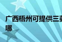 廣西梧州可提供三菱重工空調(diào)維修服務(wù)地址在哪