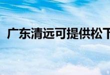 廣東清遠可提供松下空調(diào)維修服務(wù)地址在哪